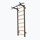 BenchK Gymnastikleiter schwarz BK-221B