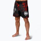 Shorts Training Pitbull Grappling Blood Dog II black