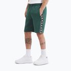 Shorts Herren Pitbull Track Shorts Powers bottle green