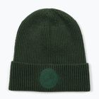Wintermütze Pitbull Beanie San Diego Ca dark green