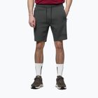Herren-Shorts Pitbull Sampson grey/green