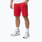 Herren-Shorts Pitbull Track Powers fluo/red