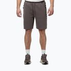 Herren-Shorts Pitbull Track Powers taupe