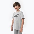 Kinder-T-Shirt 4F HJZ22-JTSM002 grau