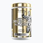 Pre-Workout-Booster Fitness Authority Levrone Gold Maryland Muscle Machine 385 g fruit punch