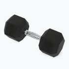 Kurzhanteln XTREXO Hex HXD200 20 kg