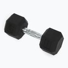 Kurzhanteln XTREXO Hex HXD100 10 kg