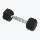 Kurzhanteln XTREXO Hex HXD25 2.5 kg