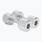 Verchromte Hanteln XTREXO 2x12 kg Silber