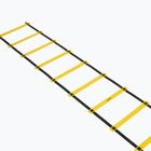Koordinationsleiter OneTeam S-AG LADDER 6M yellow