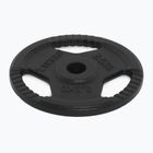 TREXO Gusseisen Gewicht TRX-ICP002 2,5 kg Chrom