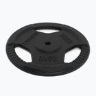 XTREXO Gusseisen Gewicht TRX-ICP025 25 kg Chrom