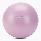 Mini Gymnastikball XTREXO TXO-B4Z011-VT 25 cm Lila