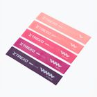 Fitness-Gummiband-Set XTREXO Mini Power Band TXO-B4Z053-ALL 5 Stk. multicolour