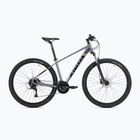 ATTABO Herren-Mountainbike ALPE 3.0 19" grau