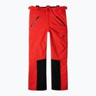 Herren-Skihose 4F