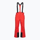 Herren-Skihose 4F Fnk M1155 red