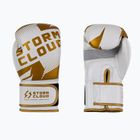 Boxhandschuhe StormCloud Bolt 3.0 white/gold