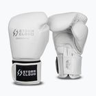 Boxhandschuhe StormCloud Muay Thai Blizzard 2.0 white/silver