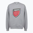 Herrenpullover PROSTO Big Shield Crewneck gray