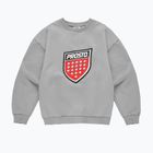 Herrenpullover PROSTO Big Shield Crewneck gray
