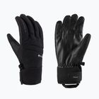 Skihandschuhe Viking Whistler GTX Multifunction Black