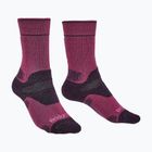 Damen-Socken Bridgedale Heavyweight Performance Boot Original berry/plum