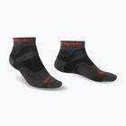 Herren-Trekkingsocken Bridgedale Hike Midweight Performance Ankle graphite/orange