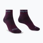 Damen-Trekkingsocken Bridgedale Hike Midweight Performance Ankle dark purple
