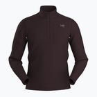 Herren Arc'teryx Rho Heavyweight Zip Neck Phantasmas Sweatshirt