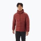 Arc'teryx Cerium Hoody Herren Daunenjacke sequoia/solaris