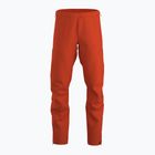 Arc'teryx Beta Solaris Herren-Membranhose