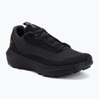 Herren-Laufschuhe Arcteryx Norvan LD 4 GTX black/black