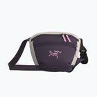 Gürteltasche Arcteryx Mantis 1 1,5 l