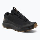 Herren Wanderschuhe Arc'teryx Aerios FL 2 schwarz 29359