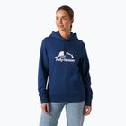 Frauen Helly Hansen Nord Grafik Pullover Hoodie Ozean