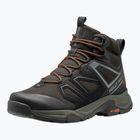 Schuhe Trekking Herren Helly Hansen Stalheim HT Boot beluga / burnt orange