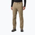 Herren-Trekkinghose Helly Hansen Holmen 5 Pocket pebble