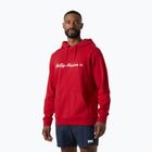 Herren Sweatshirt Helly Hansen Core Graphic Hoodie red