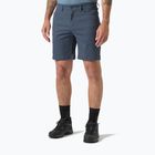 Herren-Trekking-Shorts Helly Hansen Holmen 5 Pocket alpine frost