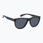 Polaroid PLD 2156/S matte braune havanna/blaue polarisierte Sonnenbrille