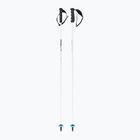 Skistöcke HEAD Worldcup Rebels Carbon white