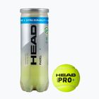 Padel-Bälle HEAD Padel Pro+ 3 Stk. yellow