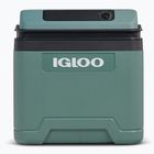 Kühlschrank Igloo IE24 ACDC 24 and spruce