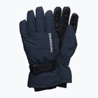 Skihandschuhe Kinder Didriksons Biggles navy