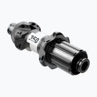 DT Swiss 35P 142/12 ROCL ASL11 R24 BM ASM W Hinterradnabe schwarz