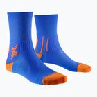 Men's X-Socks Run Perform Crew Laufsocken twyce blau/orange