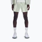 Herren-Laufshorts On Performance Terra seedling/tin