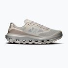Herren-Laufschuhe On Cloudvista 3 fog/pearl
