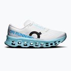 Herren-Laufschuhe On Cloudmonster 3 ivory/topaz